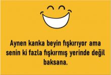 Neşe Dolu Sözler