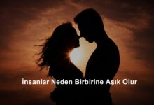 İnsanlar Neden Birbirine Aşık Olur