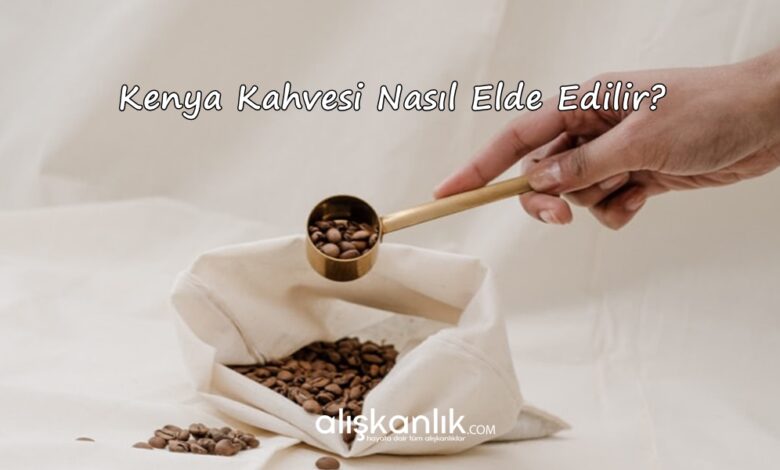 Kenya Kahvesi Nasıl Elde Edilir