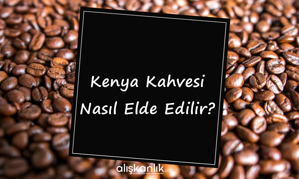 Kenya Kahvesi Nasıl Elde Edilir?