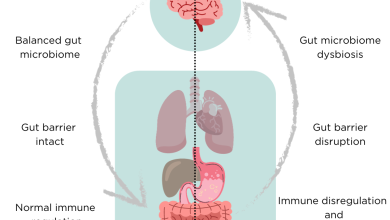 Mutlu Bağırsaklar, Mutlu Zihin: Mikrobiyomun Ruh Hali Üzerindeki Etkisi