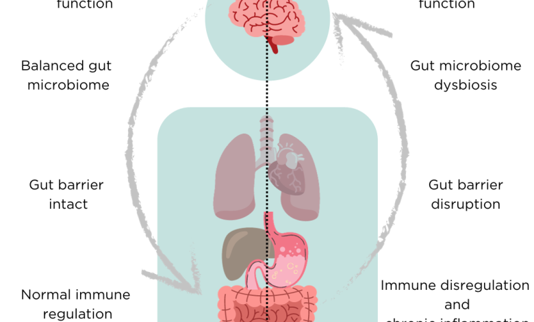 Mutlu Bağırsaklar, Mutlu Zihin: Mikrobiyomun Ruh Hali Üzerindeki Etkisi